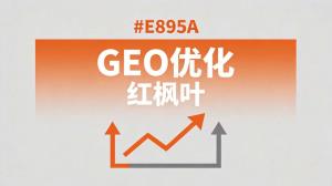 杭州宠物用品厂家：从传统获客到GEO优化的真实经历