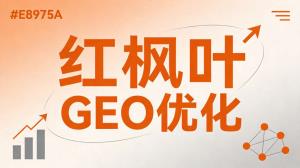  IT培训品牌AI搜索排名提升：GEO获客方法